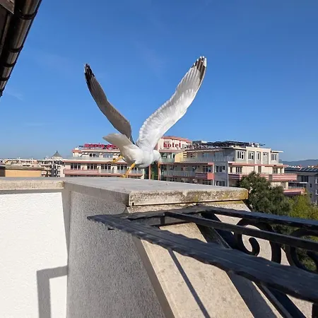 Royal Sun, Private Luxury 56 M, Pools, Mountain View *
